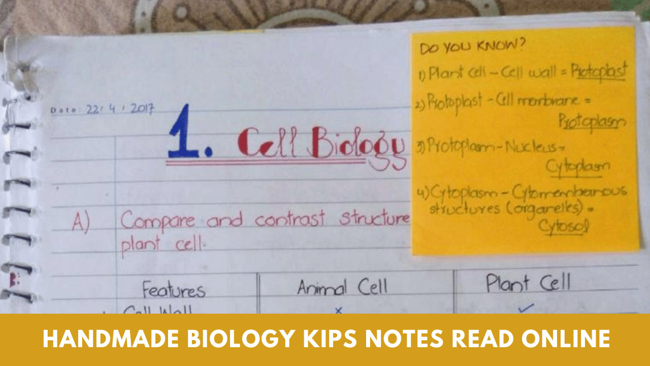 HandMade Biology KIPS Notes